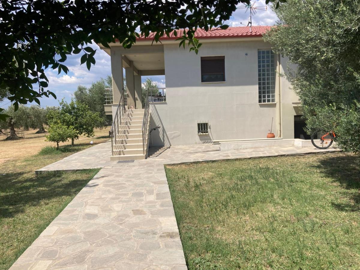 Villa Giannoula 基拉奇尼 外观 照片